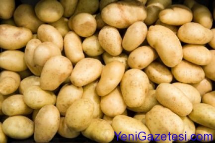 2014-patates-fiyatlari-ne-kadar